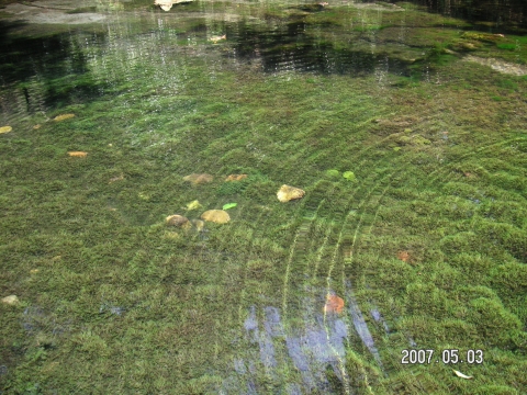 s_PICT0099.jpg